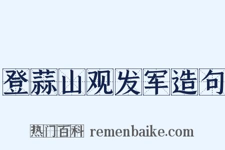 登蒜山观发军造句是什么意思的图片